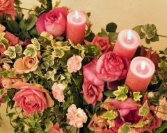 Tapeta Nature Flowers 248.jpg